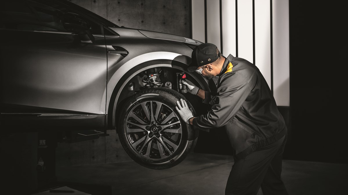 Renault Spare Parts
